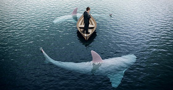 Man on a Boat in the middle of the ocean surrounded by two sharks