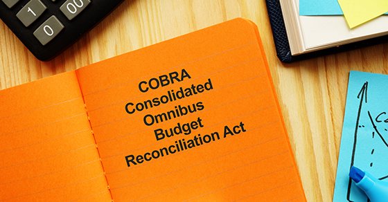 COBRA insurance premium assistance provisions of the American Rescue Plan Act