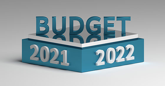 annual business budget for 2021