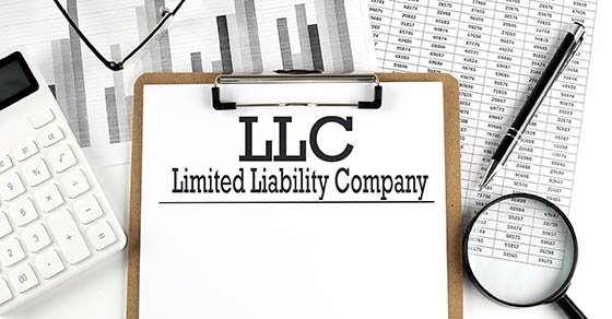 limited liability company